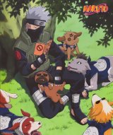 BUY NEW naruto - 145359 Premium Anime Print Poster
